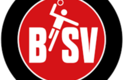 Handballspektakel BSV